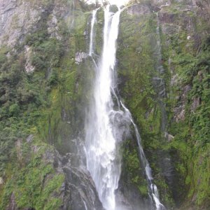 IMG 4333