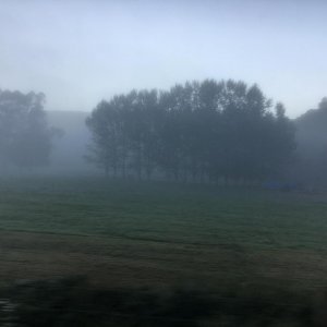 IMG 9855