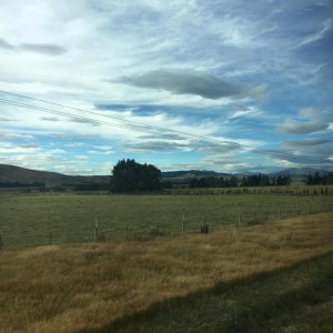 IMG 9955