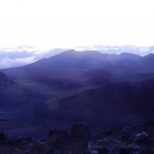H01