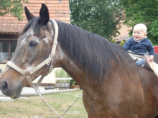 Ã¤ltestes Pferd, jÃ¼ngster Reiter