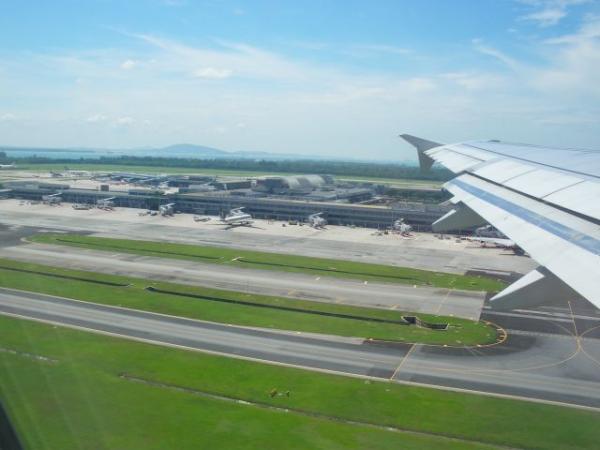 changi airport "bird's eye view"