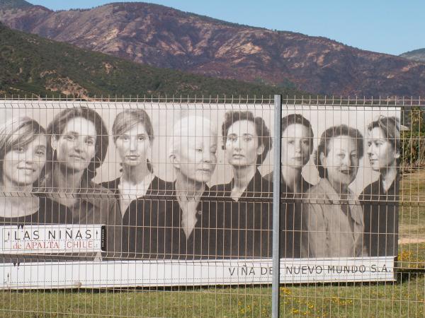 Chile / Las Ninas Weingut (Colchagua Valley / Rute del Vino)