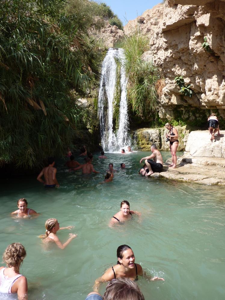 en gedi 2