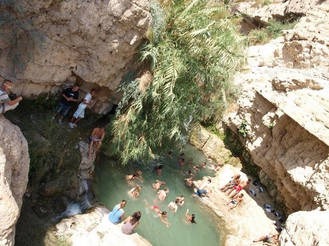 en gedi