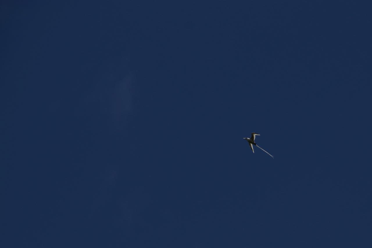 IMG 1719