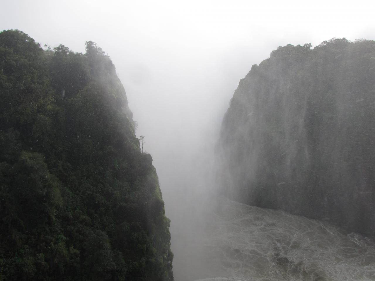 IMG 4727