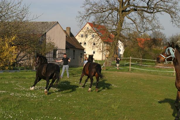 links sharon 24 jhr