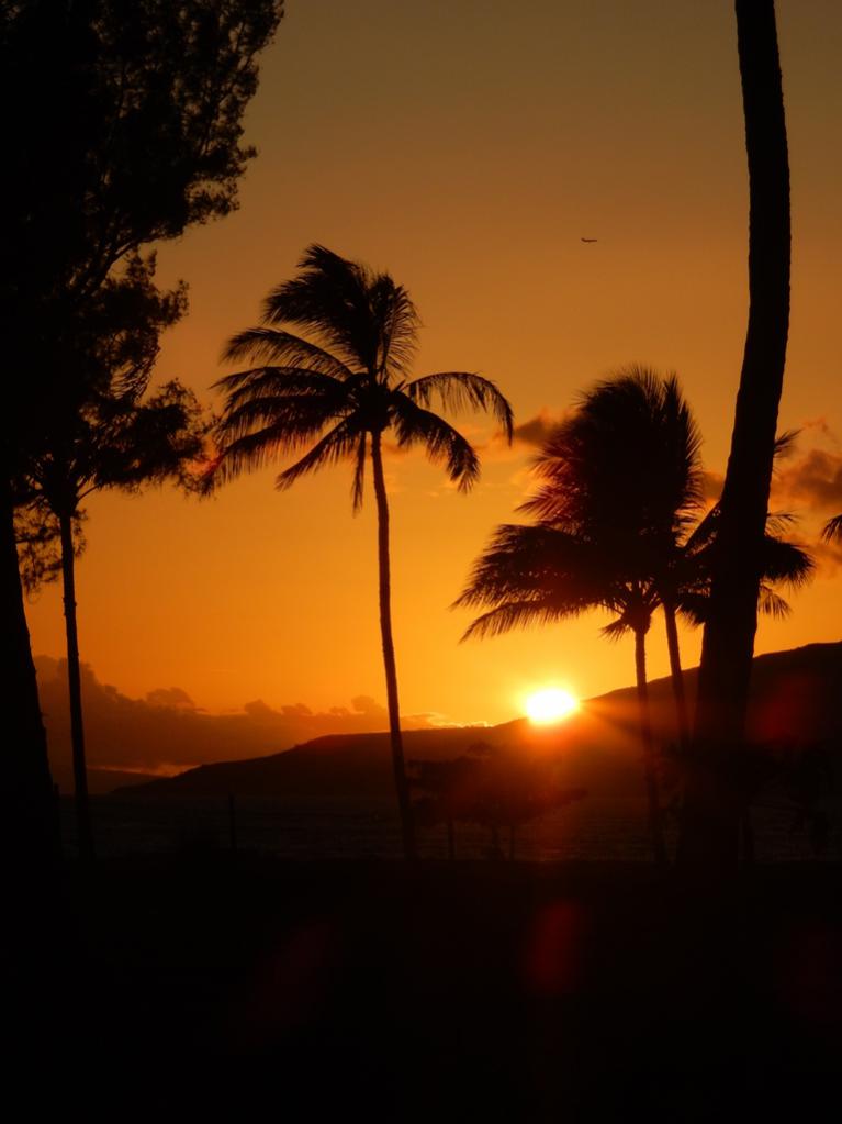 Maui03