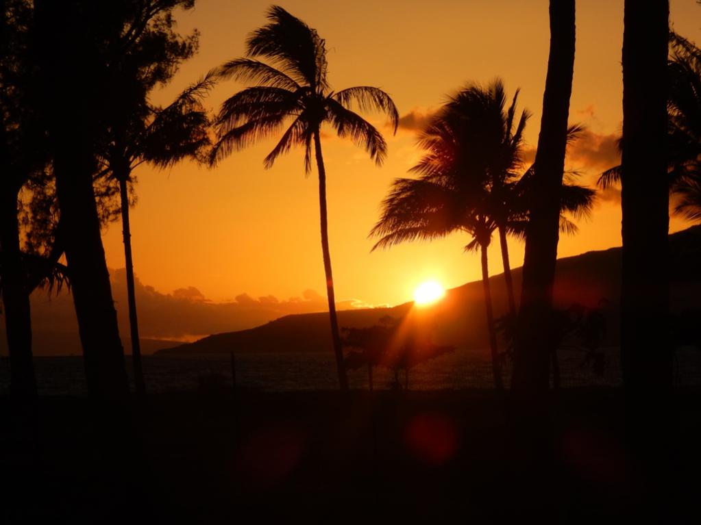 Maui04