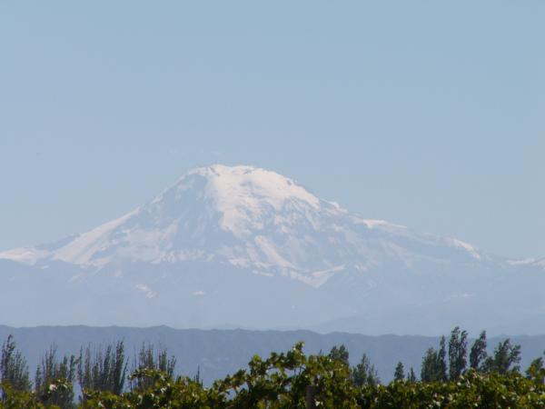 Mendoza / Blick auf die Anden