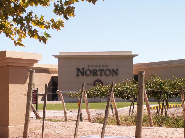 Mendoza / Weingut Norton