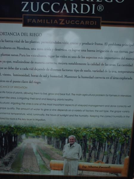 Mendoza / Weingut Zucchardi - Infoblatt