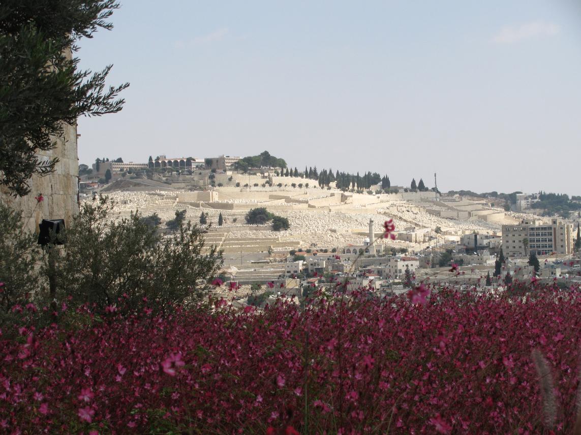 mt of olives