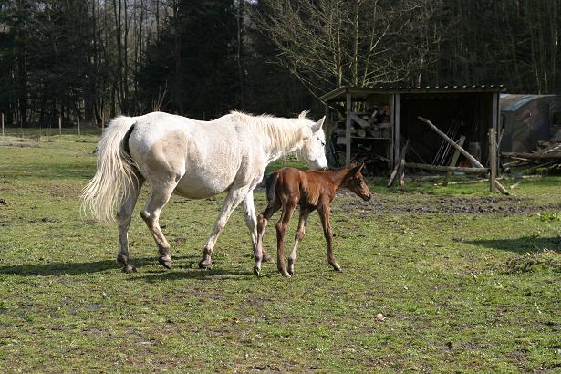 Mutter so dÃ¼nn, 2 Tage nach Geburt