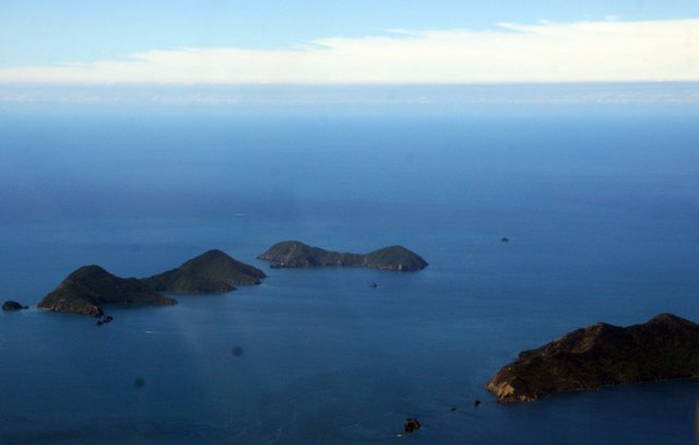 nz7