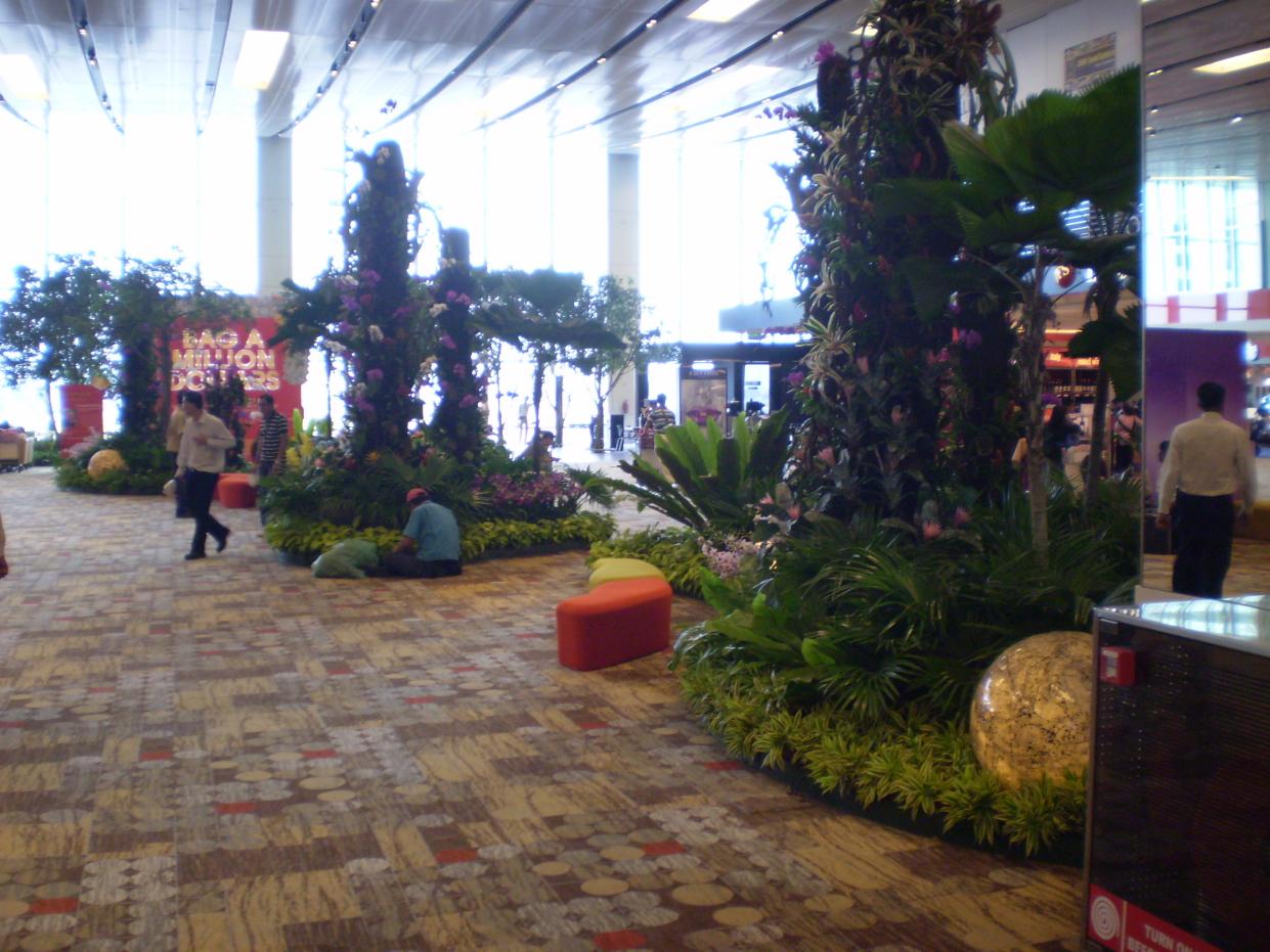 PA080126