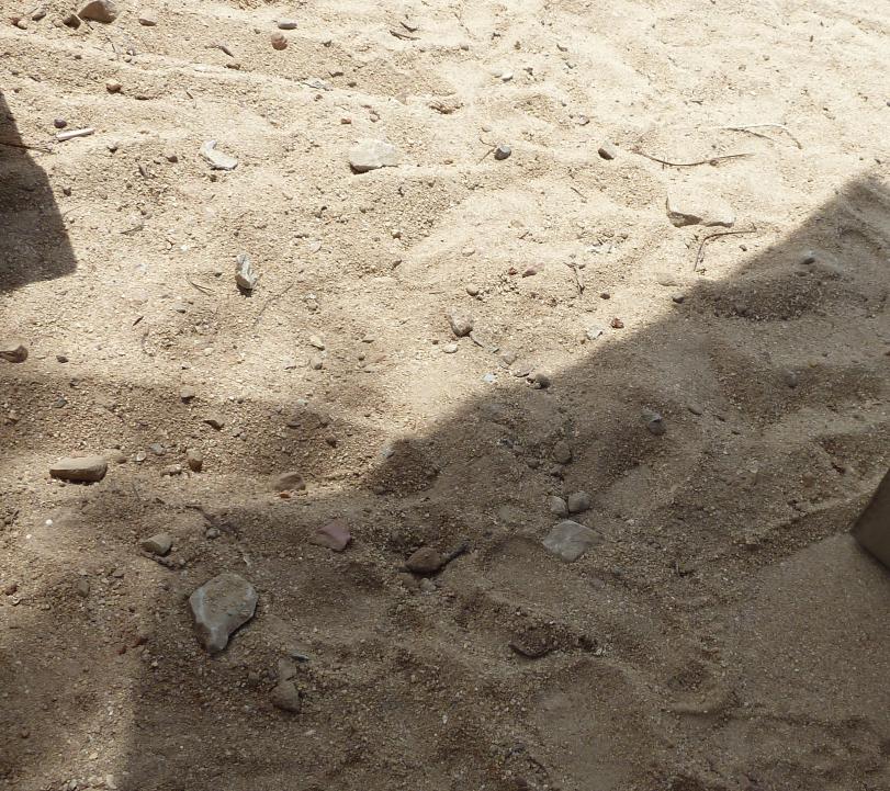 Pool Strand an diesen spitzen Steinen stößt man sich leider sehr häufig, unschön und schmerzt
