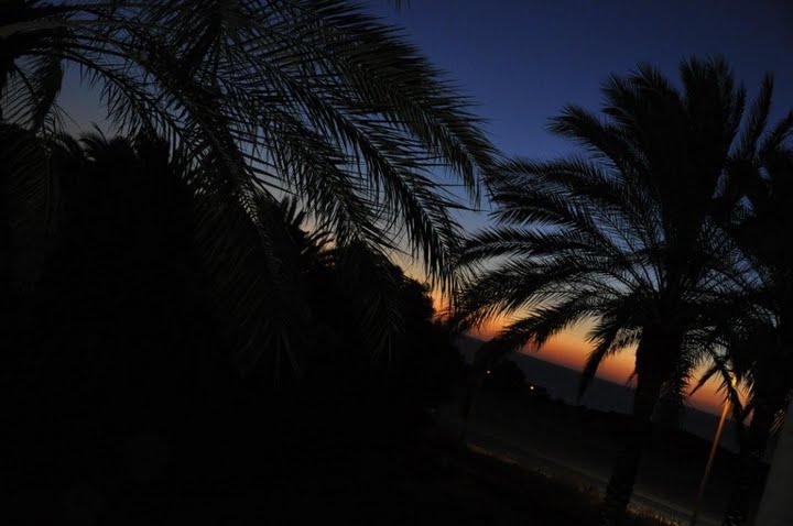 shefayim by night