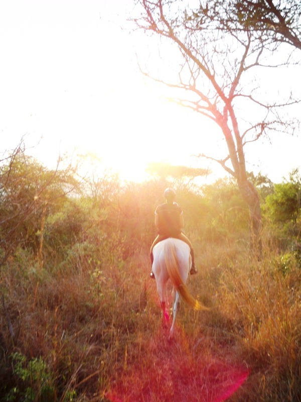 Sunset01