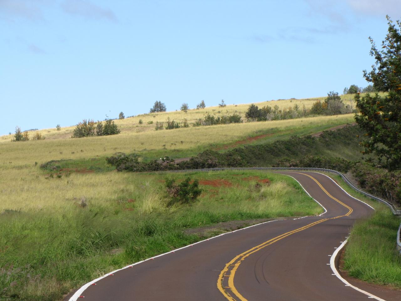 Way to the Waimea Canyon